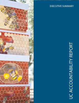 UC Accountability Report 2020